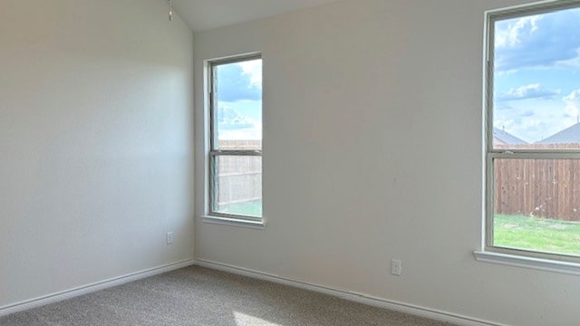 unfurnished room featuring carpet flooring and a healthy amount of sunlight