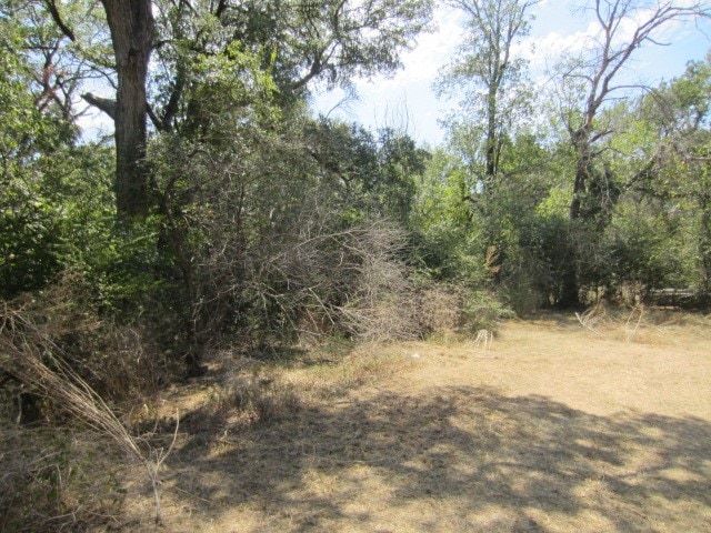 view of local wilderness