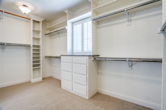 walk in closet with light carpet