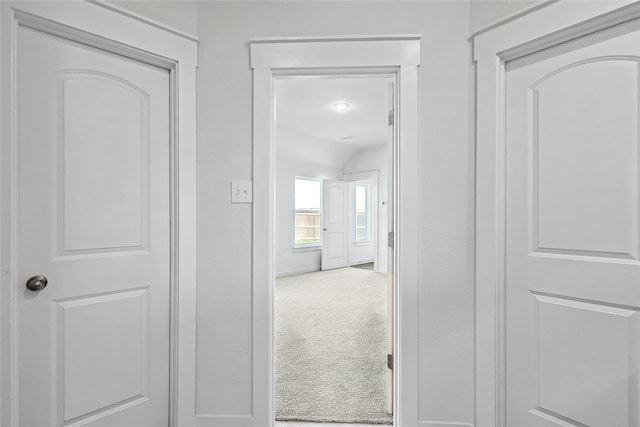 hallway featuring carpet