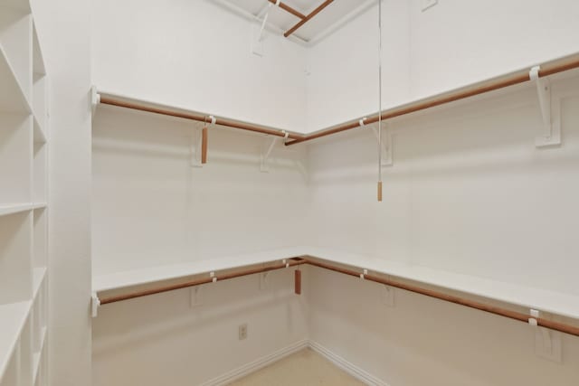 view of spacious closet