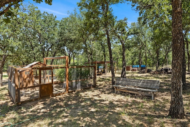 view of yard featuring an outbuilding