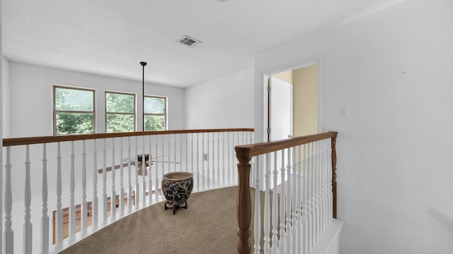 hallway featuring carpet floors