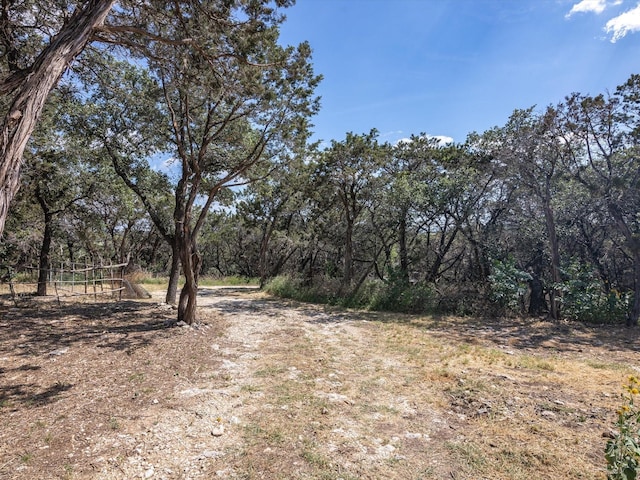 view of local wilderness