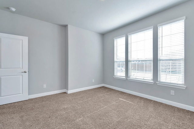 unfurnished room with carpet floors and a healthy amount of sunlight