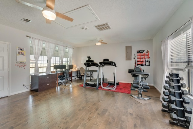 exercise room featuring hardwood / wood-style flooring, a textured ceiling, electric panel, and ceiling fan