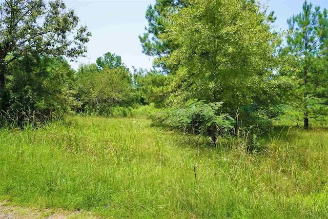 Listing photo 2 for 106 County Road 439, Joaquin TX 75954