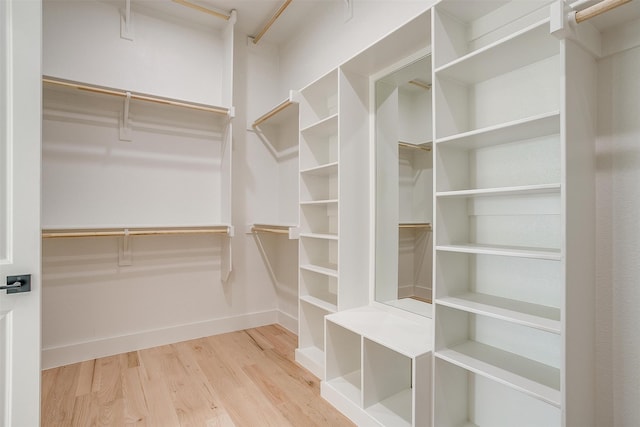 spacious closet with light wood-type flooring