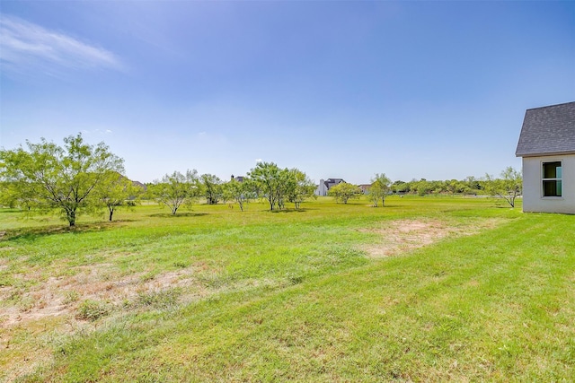 view of yard featuring a rural view