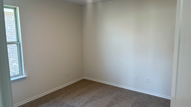 spare room with carpet floors