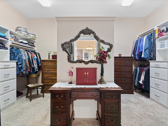 spacious closet with light colored carpet