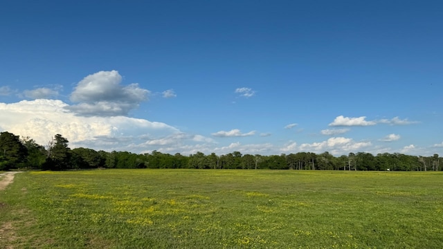 view of landscape