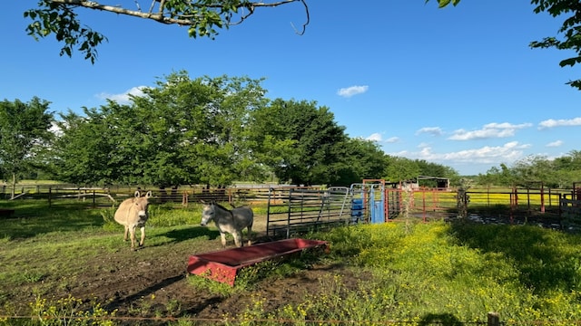 view of yard with a rural view