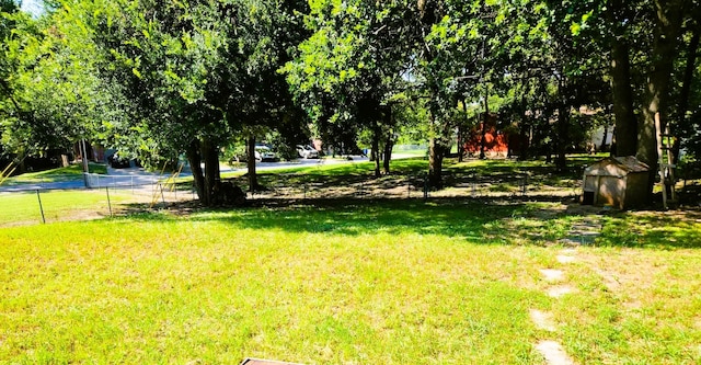 view of yard featuring a shed