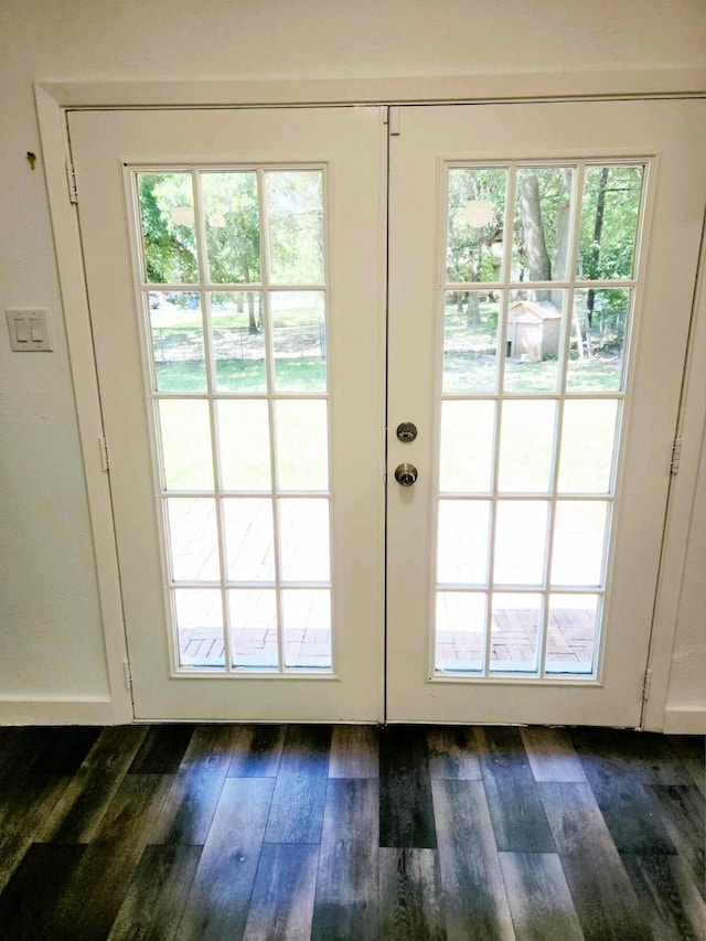 doorway featuring dark hardwood / wood-style floors and a wealth of natural light