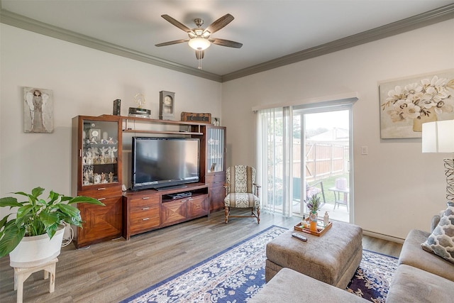 living room with ceiling fan, hardwood / wood-style floors, and ornamental molding