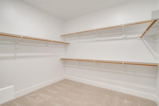 walk in closet featuring carpet floors