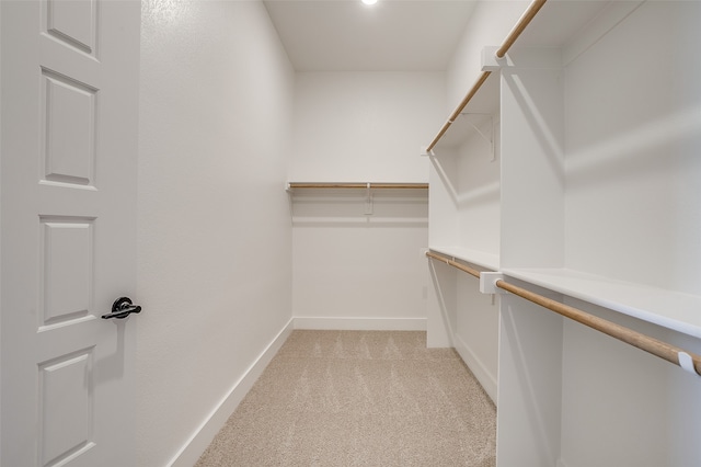 spacious closet featuring light colored carpet