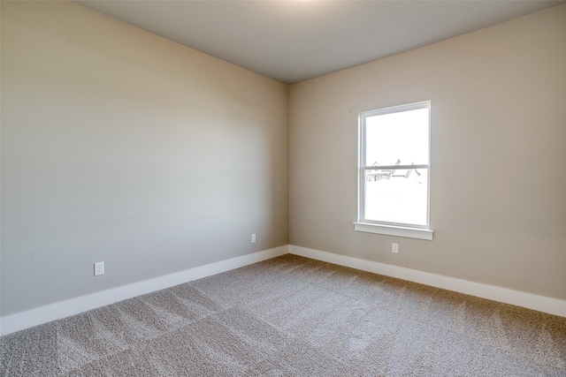 spare room with carpet floors