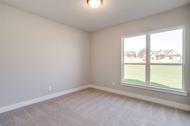 unfurnished room featuring carpet floors and a wealth of natural light