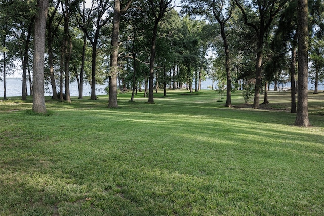 view of yard featuring a water view