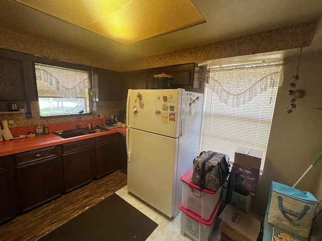 kitchen with sink, dark brown cabinetry, and white refrigerator