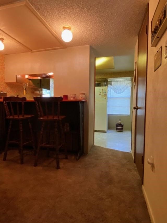 dining room with carpet floors