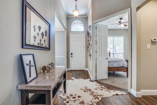 foyer entrance with ornamental molding, ceiling fan, and dark hardwood / wood-style floors