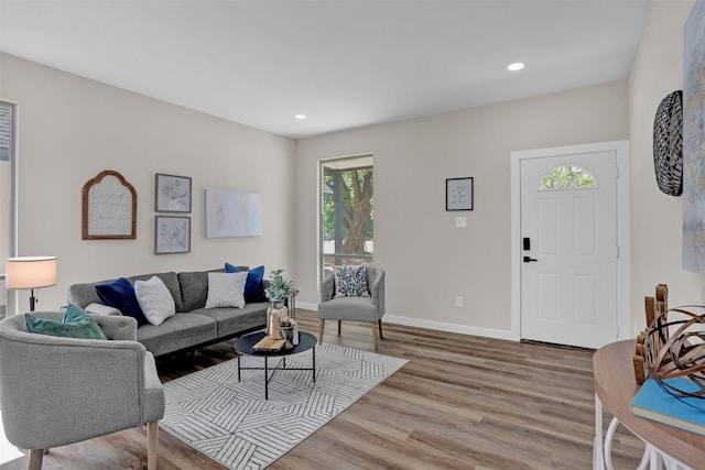 living room with wood-type flooring