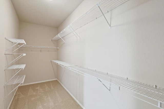 walk in closet with light colored carpet