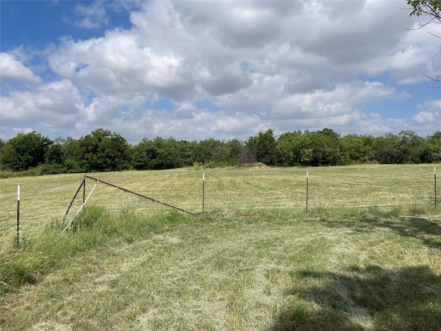 view of yard with a rural view