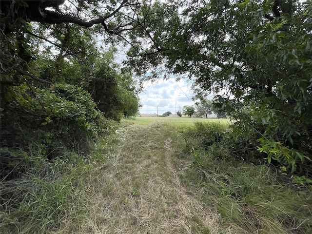 view of local wilderness featuring a rural view