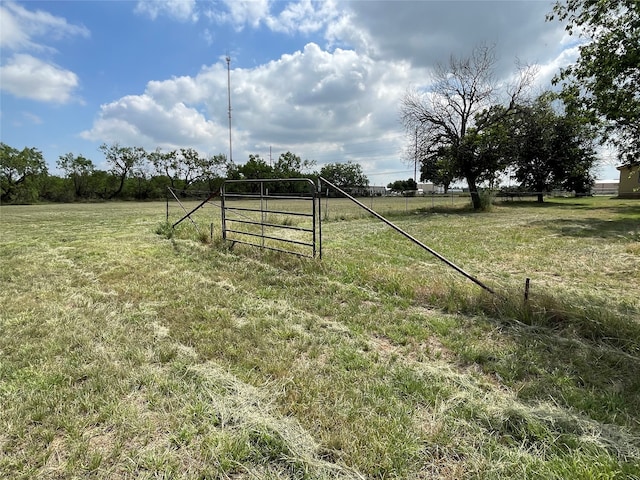 view of yard featuring a rural view