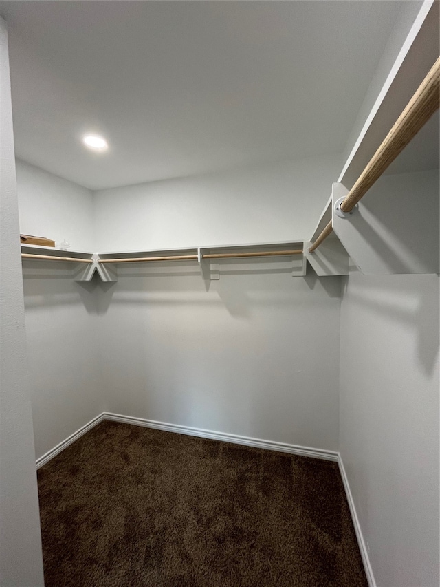 walk in closet featuring carpet