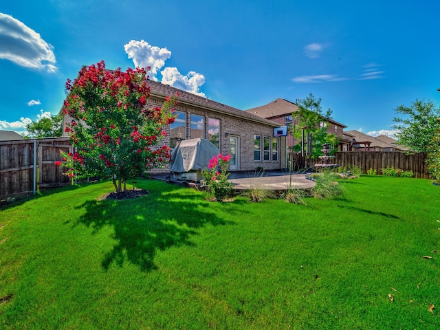 view of yard featuring a patio area