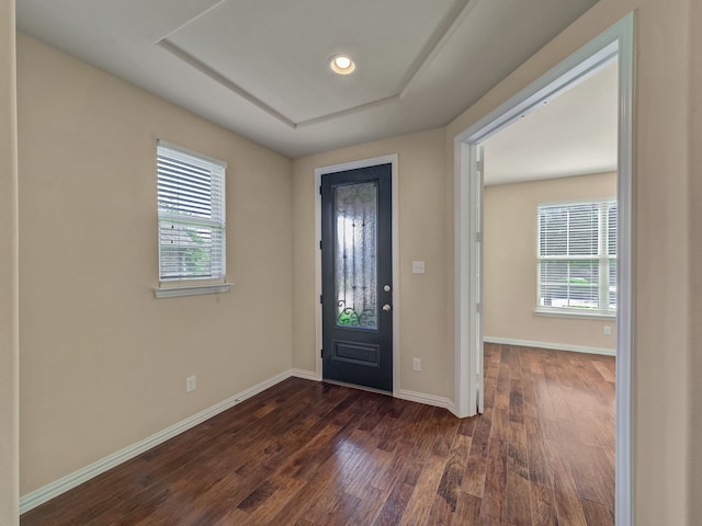 foyer entrance featuring a wealth of natural light and wood-type flooring