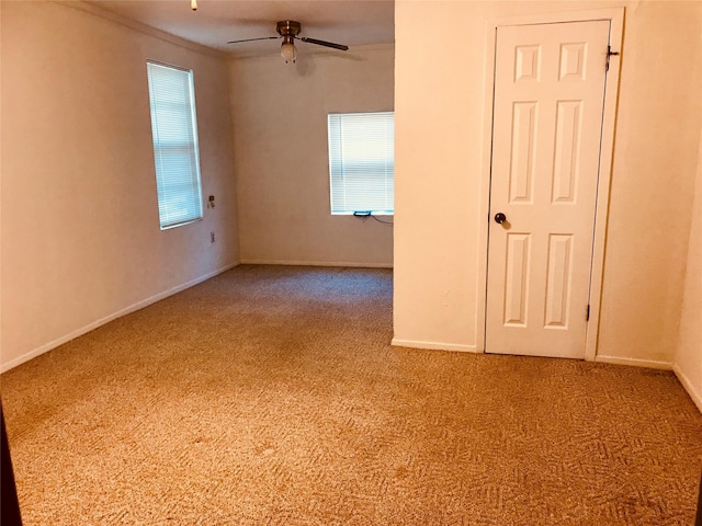 carpeted spare room with ceiling fan and ornamental molding