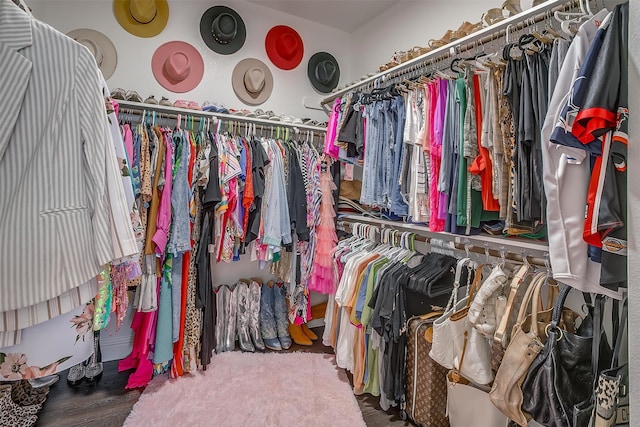 spacious closet featuring wood-type flooring