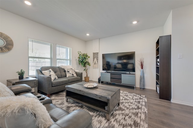 living room with wood-type flooring