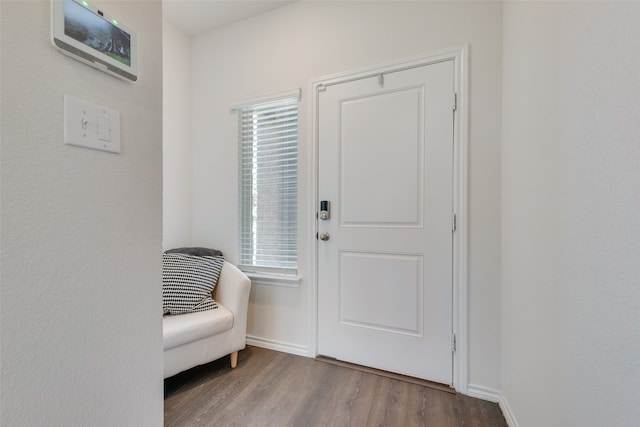 interior space with a wealth of natural light and light hardwood / wood-style flooring