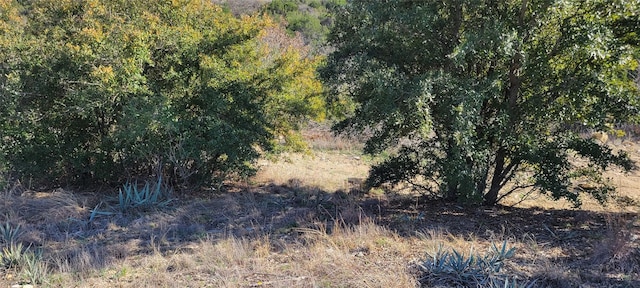 330 Blue Marlin Dr, Bluff Dale TX, 76433 land for sale