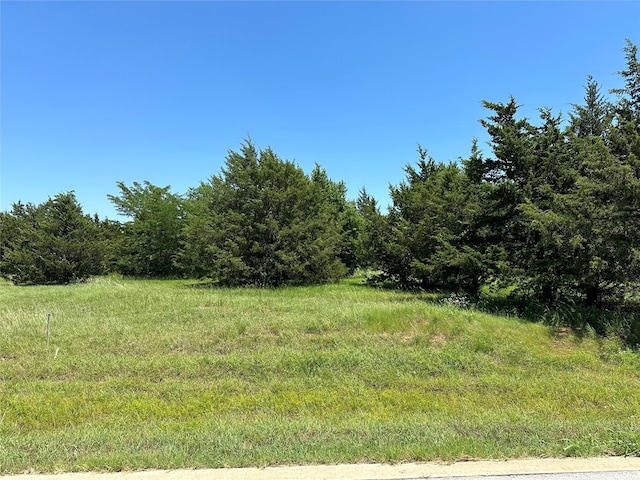 TBD La Paloma, Gordonville TX, 76245 land for sale