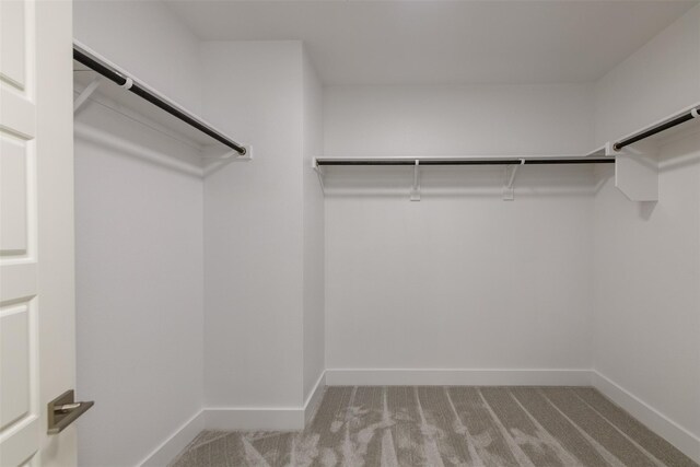 spacious closet featuring light colored carpet