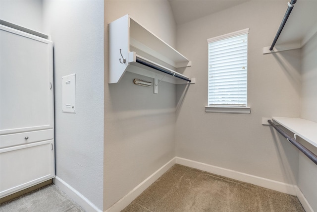 walk in closet with light carpet