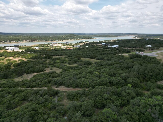 Listing photo 2 for TBDLOT102/103 Hidden Shores Dr, Cisco TX 76437