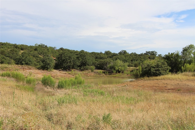 Listing photo 3 for TBDLOT102/103 Hidden Shores Dr, Cisco TX 76437