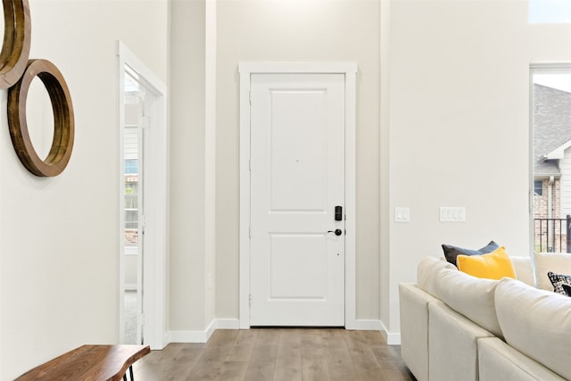 foyer entrance featuring light hardwood / wood-style floors and plenty of natural light