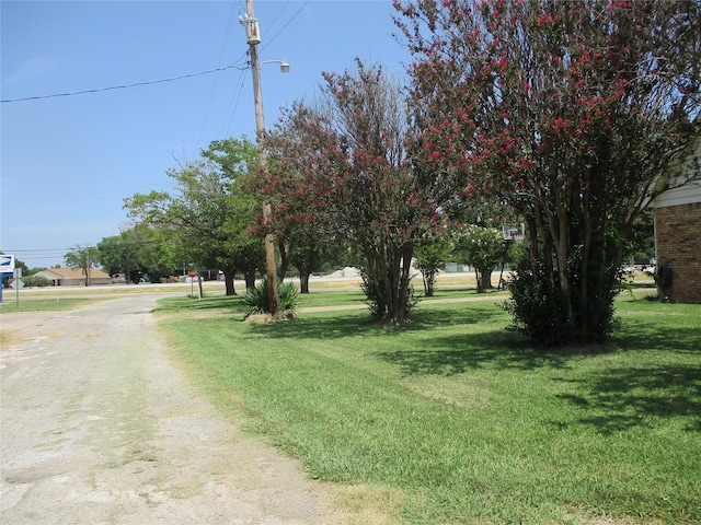 view of yard