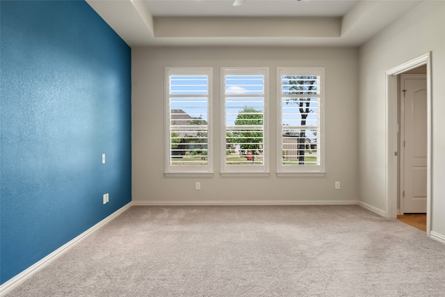 carpeted empty room with a healthy amount of sunlight and a raised ceiling