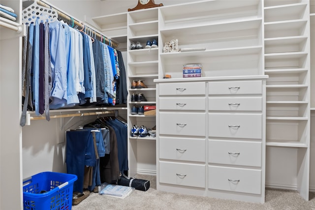 spacious closet featuring light colored carpet